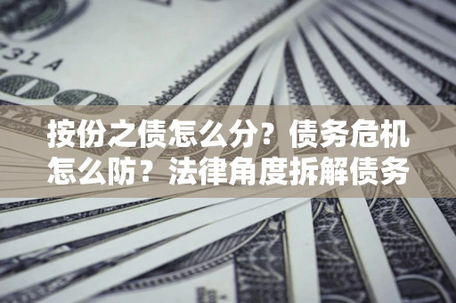 武汉按份之债怎么分？债务危机怎么防？法律角度拆解债务分配与风险自保指南