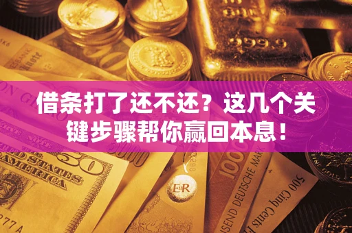 武汉借条打了还不还？这几个关键步骤帮你赢回本息！