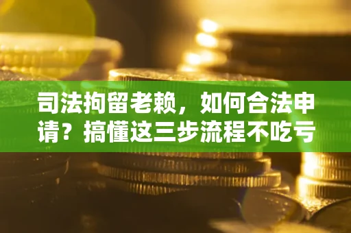 武汉司法拘留老赖，如何合法申请？搞懂这三步流程不吃亏！