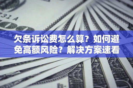 武汉欠条诉讼费怎么算？如何避免高额风险？解决方案速看！