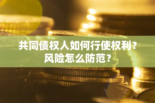 武汉共同债权人如何行使权利？风险怎么防范？
