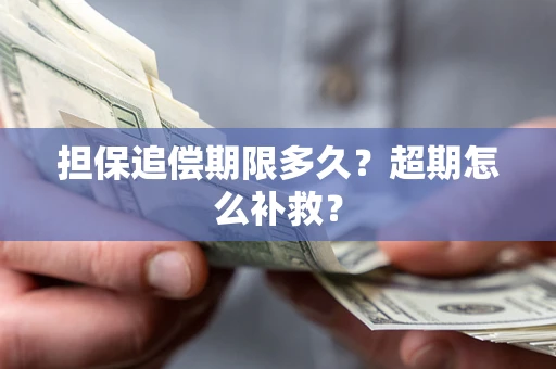 武汉担保追偿期限多久？超期怎么补救？