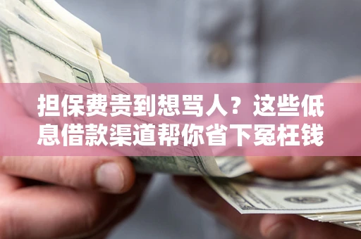 武汉担保费贵到想骂人？这些低息借款渠道帮你省下冤枉钱