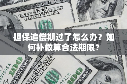 武汉担保追偿期过了怎么办？如何补救算合法期限？