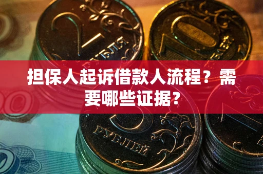 武汉担保人起诉借款人流程？需要哪些证据？