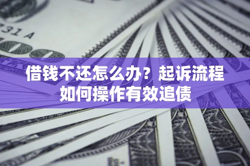 武汉借钱不还怎么办？起诉流程如何操作有效追债