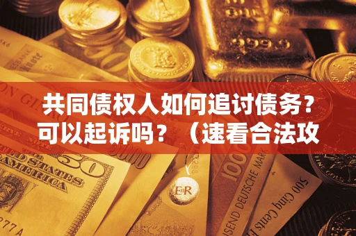武汉共同债权人如何追讨债务？可以起诉吗？（速看合法攻略）