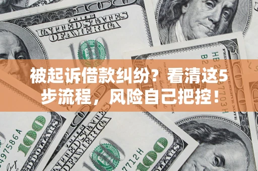 武汉被起诉借款纠纷？看清这5步流程，风险自己把控！