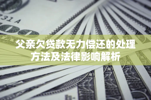 武汉父亲欠贷款无力偿还的处理方法及法律影响解析