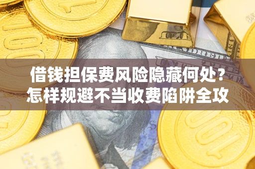 武汉借钱担保费风险隐藏何处？怎样规避不当收费陷阱全攻略！