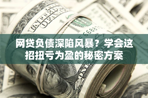 武汉网贷负债深陷风暴？学会这招扭亏为盈的秘密方案